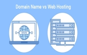 Domain and Hosting Details